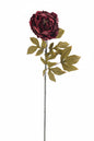 Burgundy Peony Stem