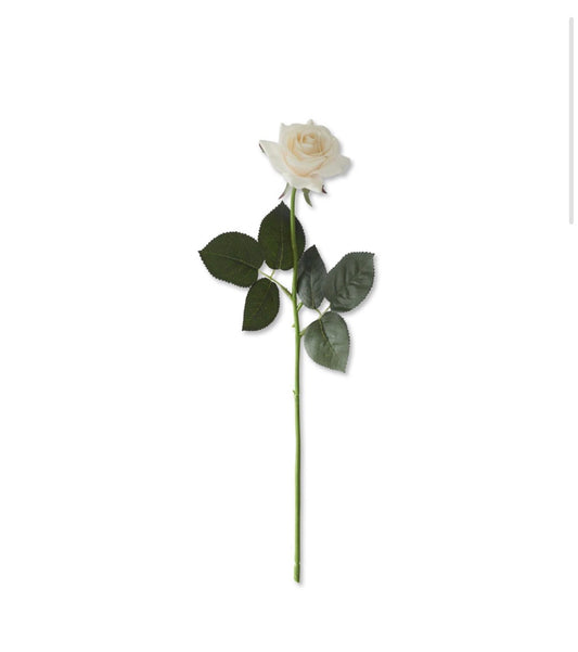 Rose Stem in White