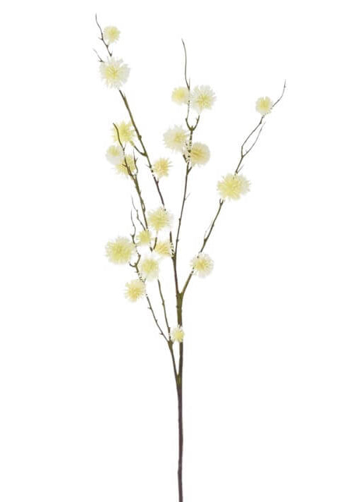 Cream Sycamore Fruit Ball Stem