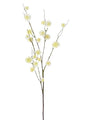 Cream Sycamore Fruit Ball Stem