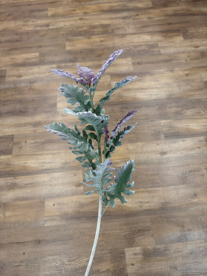 Purple Tip Dusty Miller Stem