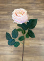 Austin Rose Stem in Pink