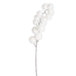 White Glittered Pom Pom Spray