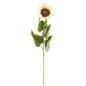 Single Large Cream Sunflower Stem