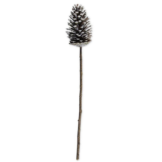 Natural Pinecone Stem
