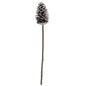 Natural Pinecone Stem