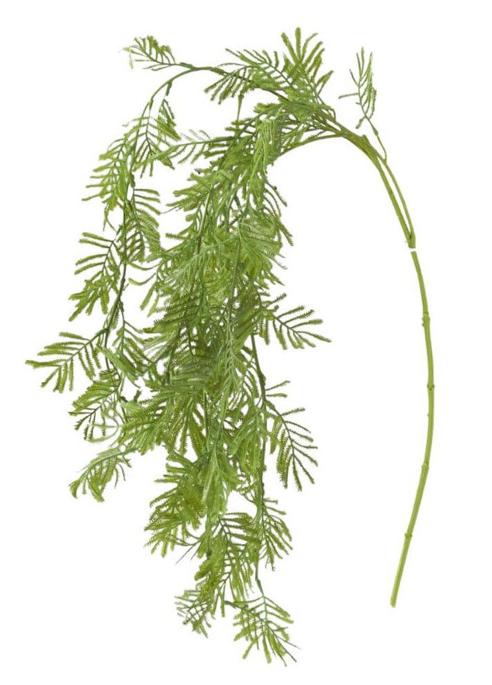Parrot Feather Fern Spray