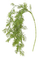 Parrot Feather Fern Spray