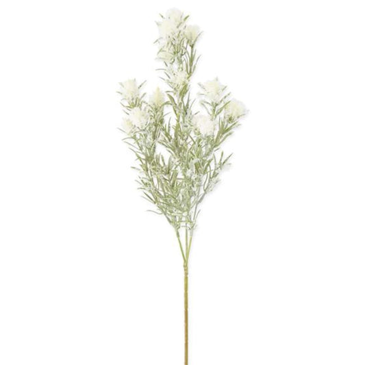 Snowy White Thistle Stem