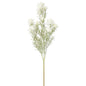 Snowy White Thistle Stem
