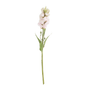 Pink Stock Flower Stem