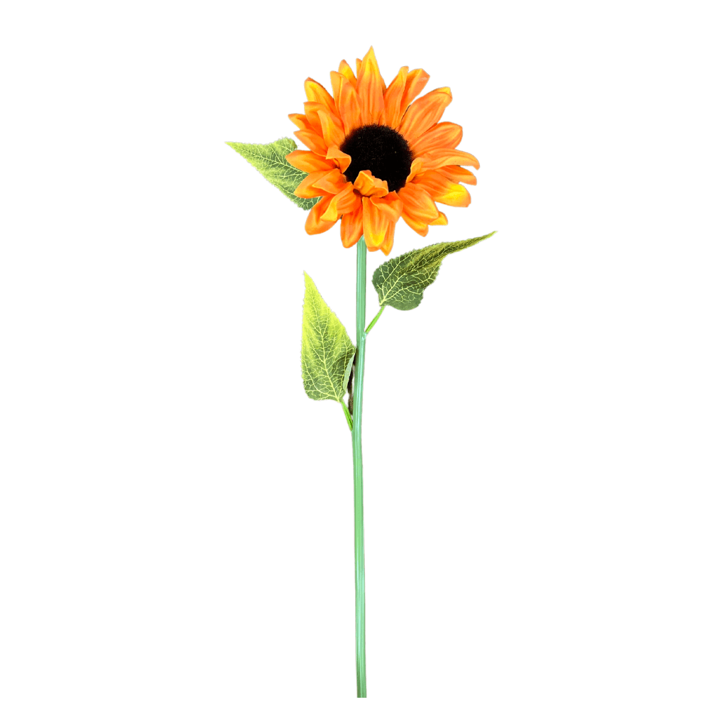 Sunflower Stem in Orange