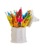 Trinket Box w/Picks