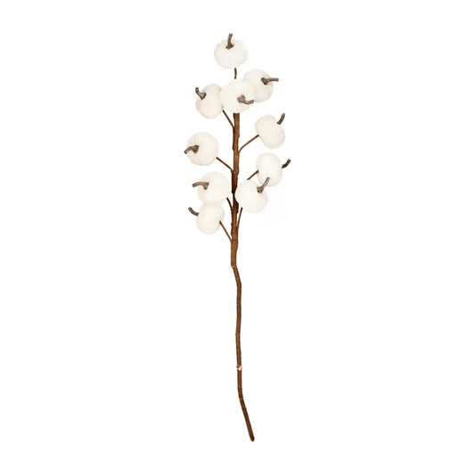 Cream Velvet Pumpkin Stem