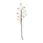 Cream Velvet Pumpkin Stem