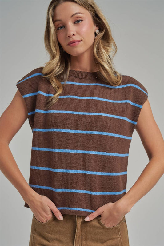 Brown/Blue Stripe Sweater Vest