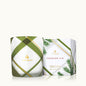 Frasier Fir Medium Plaid Candle
