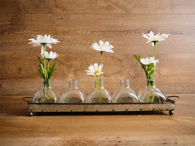 A line of 5 glass vases with white daisies in them