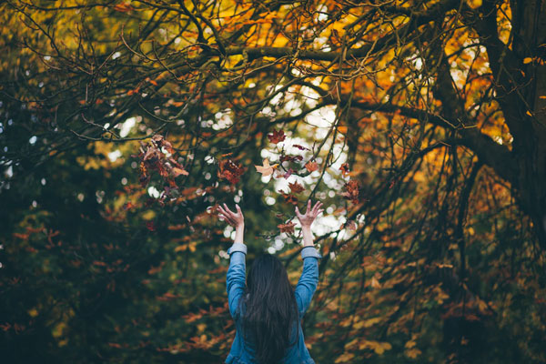  A woman throws up her hands as she stands in a forest full of autumn-colored trees. 